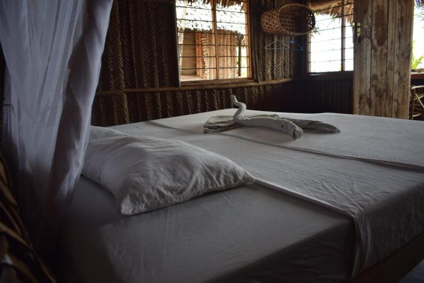 Ushongo Beach Bandas Pangani Eksteriør billede