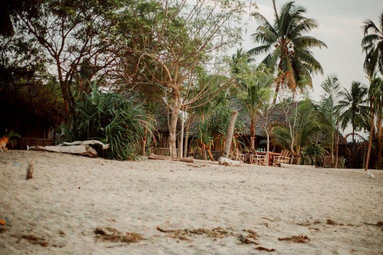 Ushongo Beach Bandas Pangani Eksteriør billede