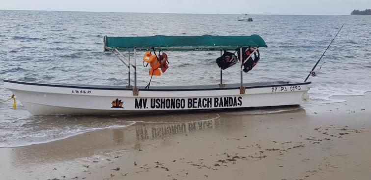 Ushongo Beach Bandas Pangani Eksteriør billede
