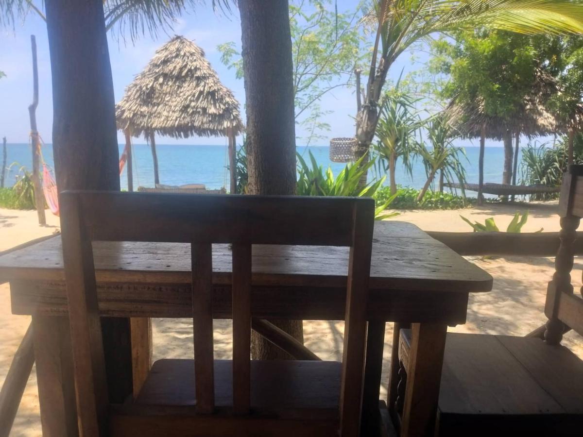 Ushongo Beach Bandas Pangani Eksteriør billede