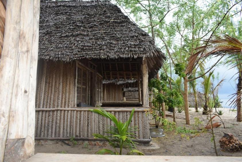 Ushongo Beach Bandas Pangani Eksteriør billede