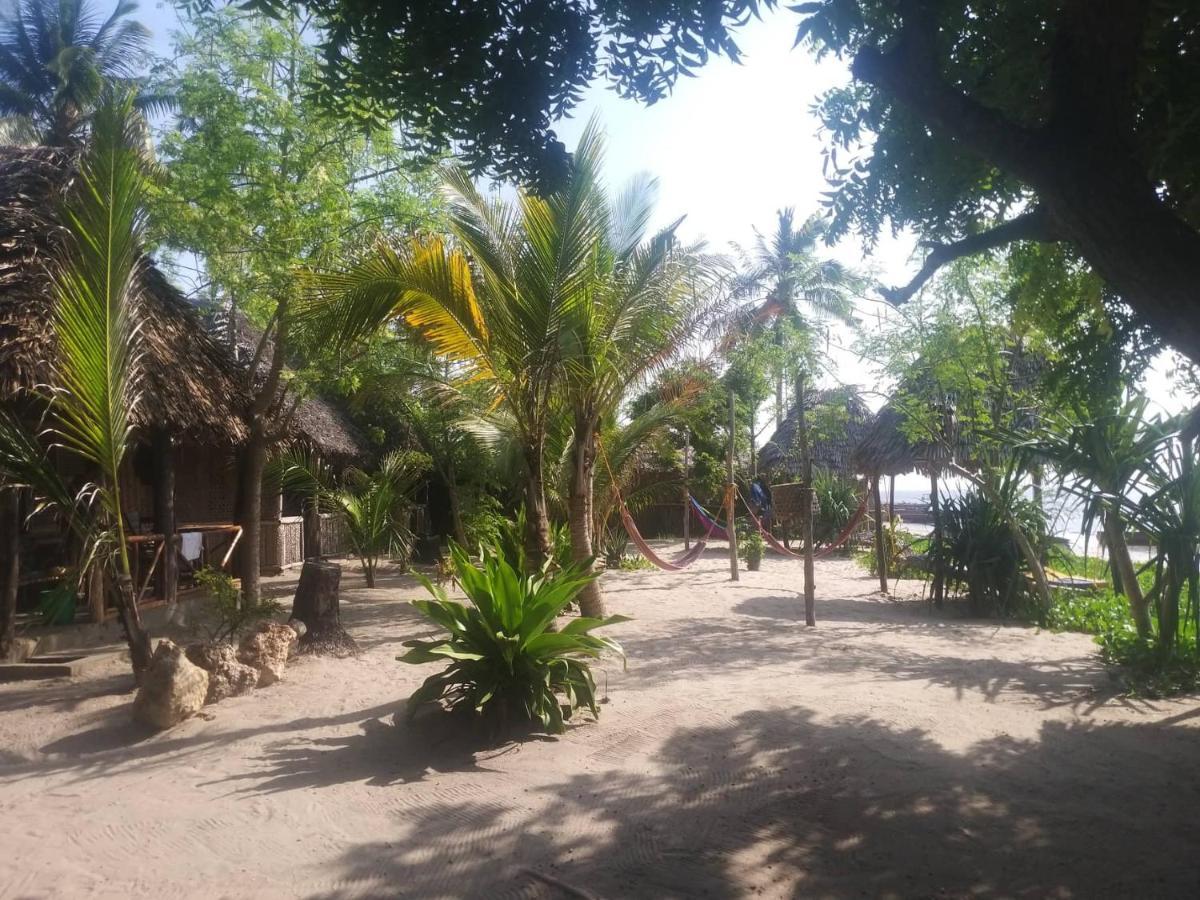 Ushongo Beach Bandas Pangani Eksteriør billede