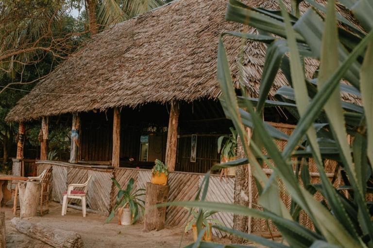 Ushongo Beach Bandas Pangani Eksteriør billede