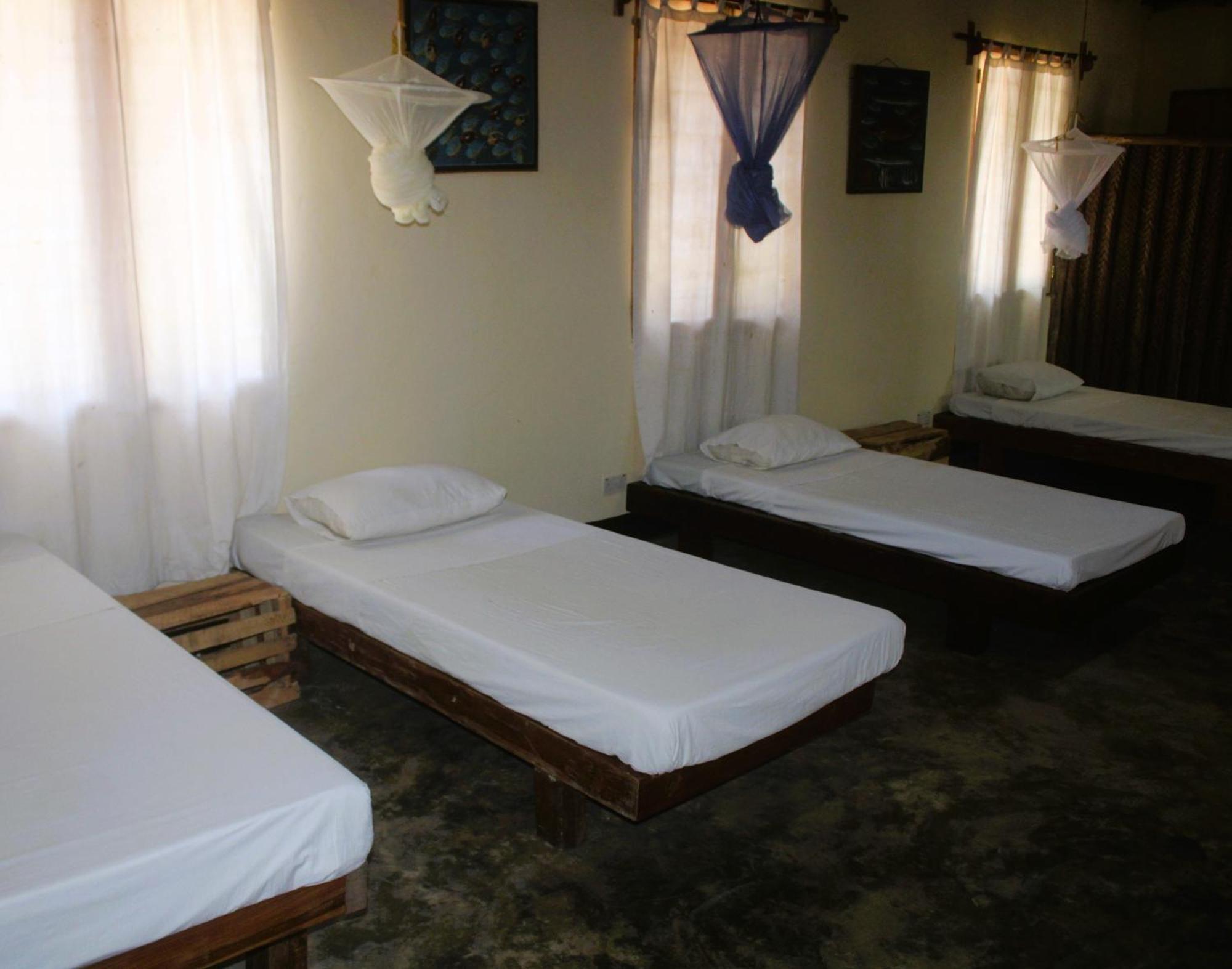 Ushongo Beach Bandas Pangani Eksteriør billede