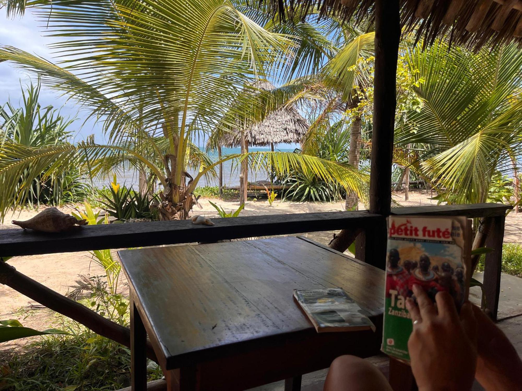 Ushongo Beach Bandas Pangani Eksteriør billede